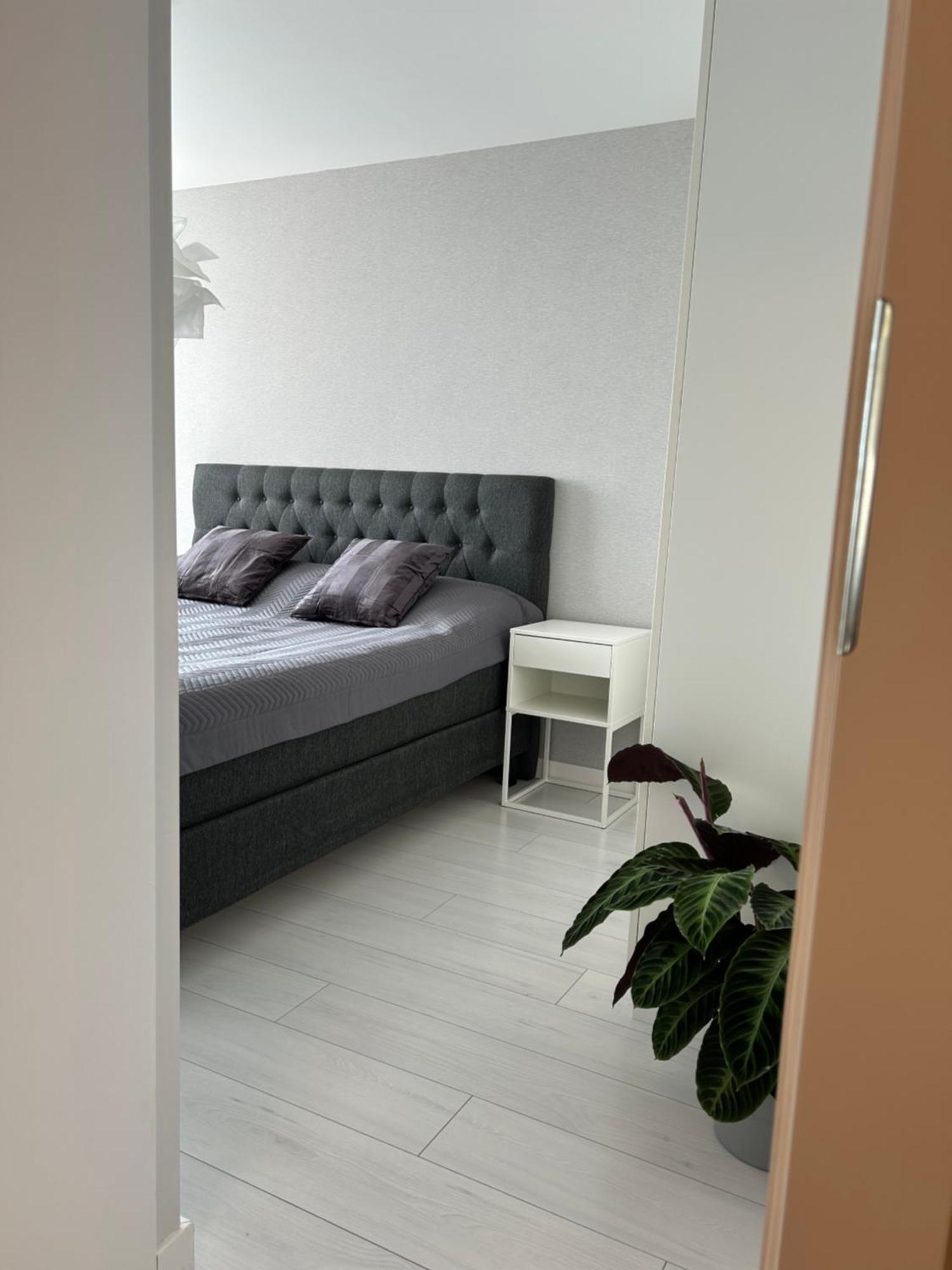 Dom & House - Apartments Kamienna Grobla Gdansk Dış mekan fotoğraf